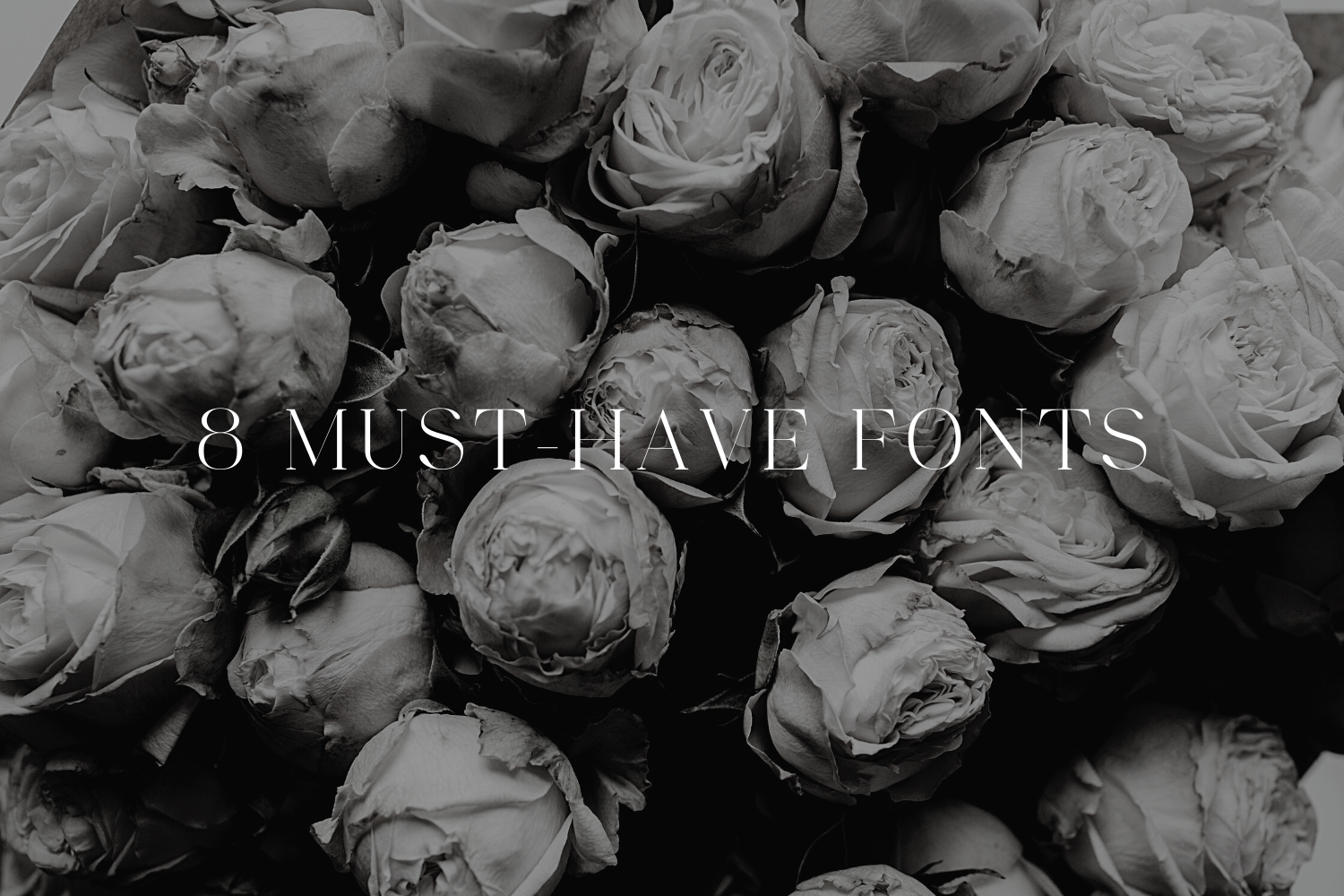 8 Must-Have Fonts