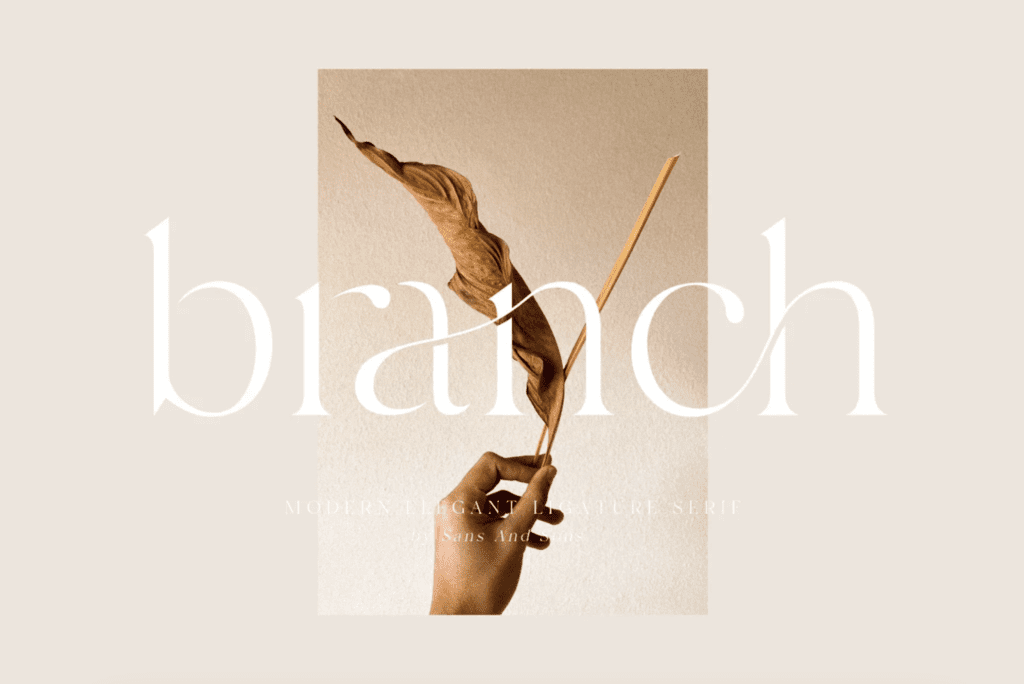 Favorite Fonts of 2022, Branch by Sans & Sons